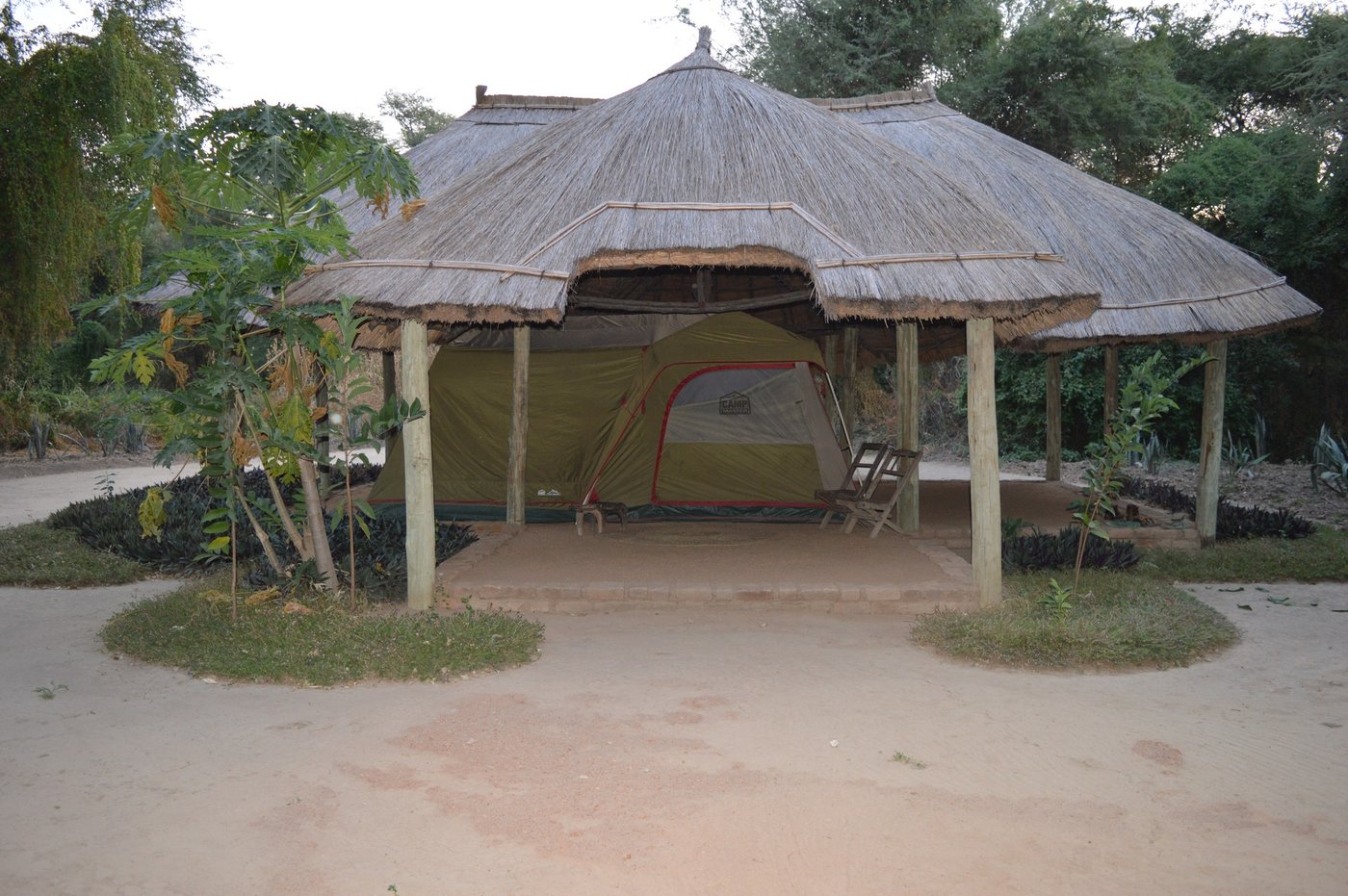 Thatched gazebo shelters a pitched tent on a raised platform at Chogela Safari Camp