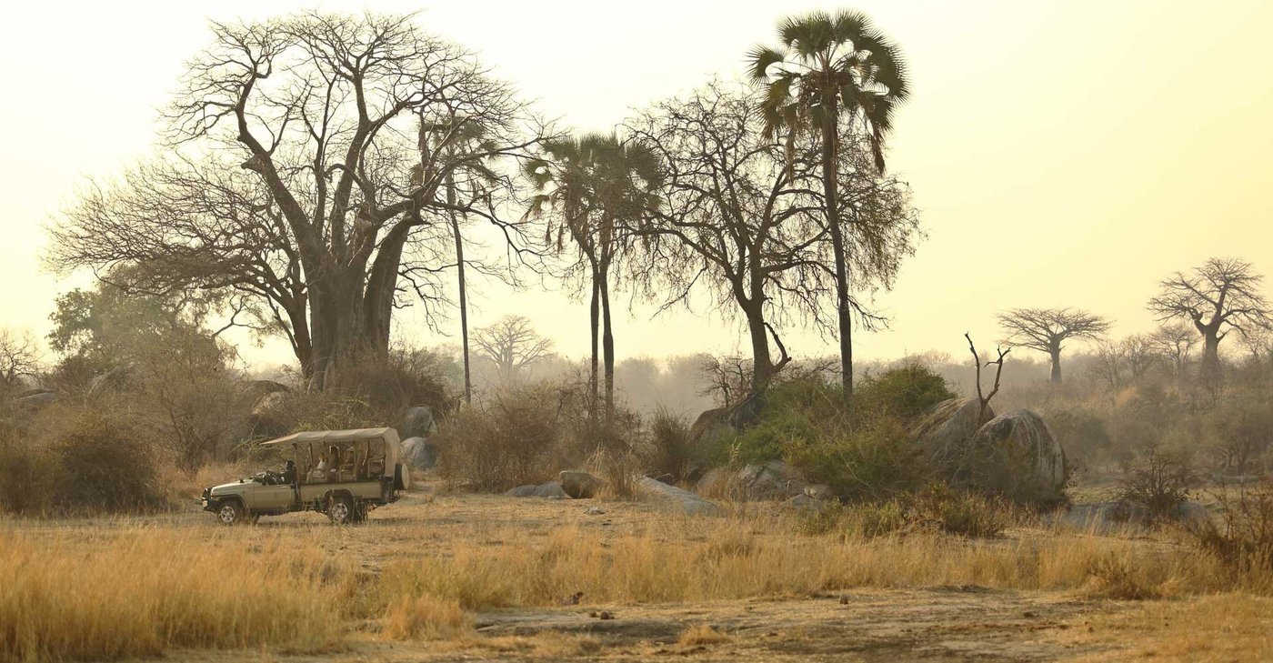 Baobab and borassus palms frame a safari vehicle on the plains near Ikuka Safari Camp