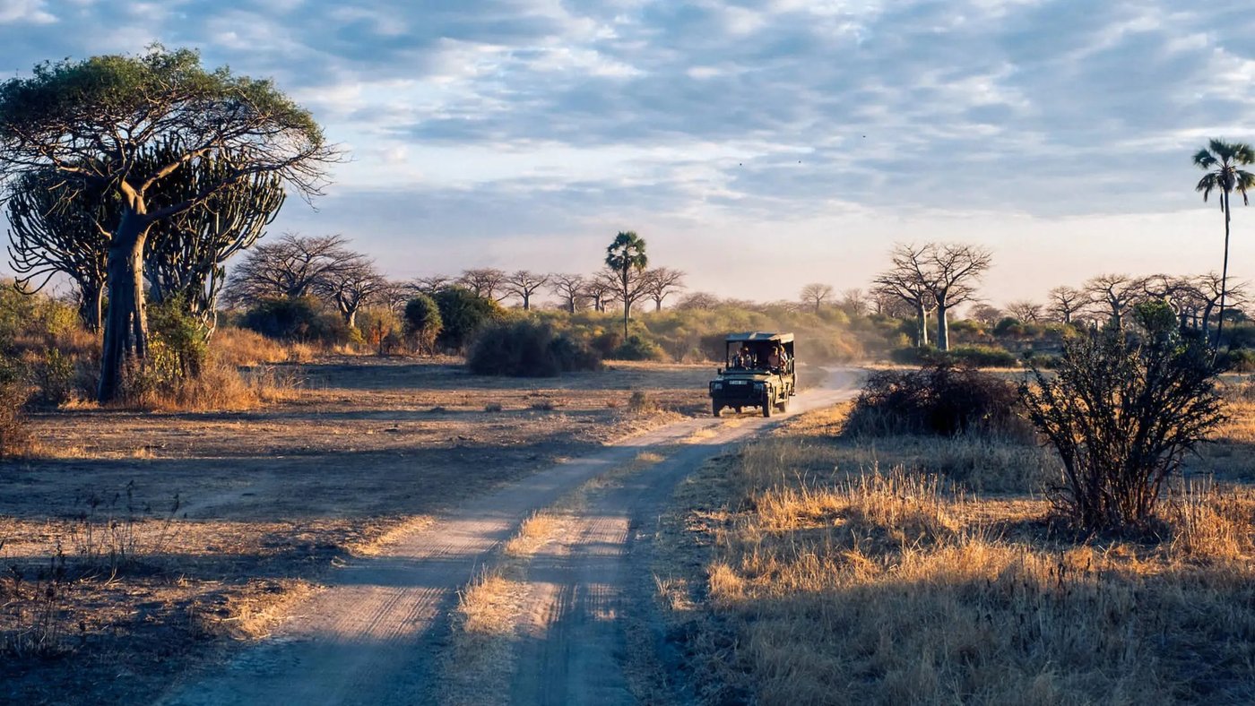 Open safari vehicle driving a dusty track at golden hour near Jabali Private House