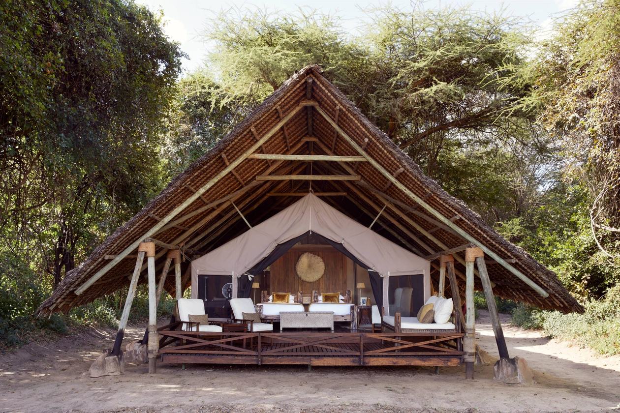 Raised tented suite with a thatched roof among trees at Jongomero Camp in Ruaha