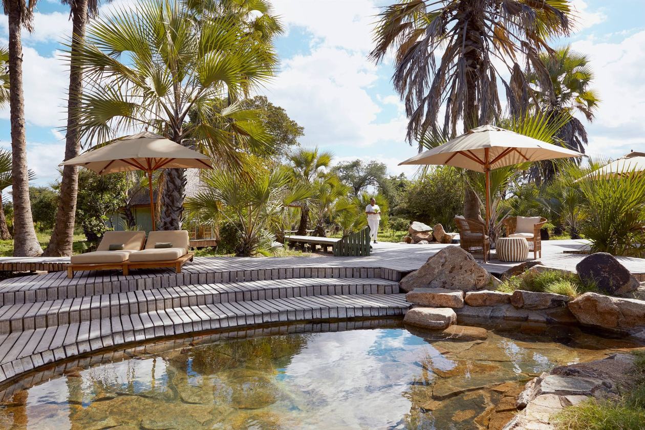 Curved swimming pool framed by palm trees and shade umbrellas at Jongomero Camp