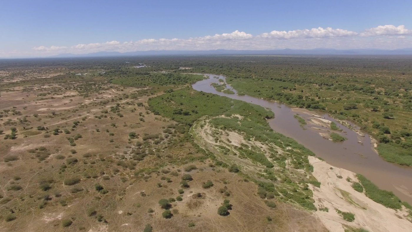 Aerial view of a river winding through the Ruaha bush near Kichaka Expeditions