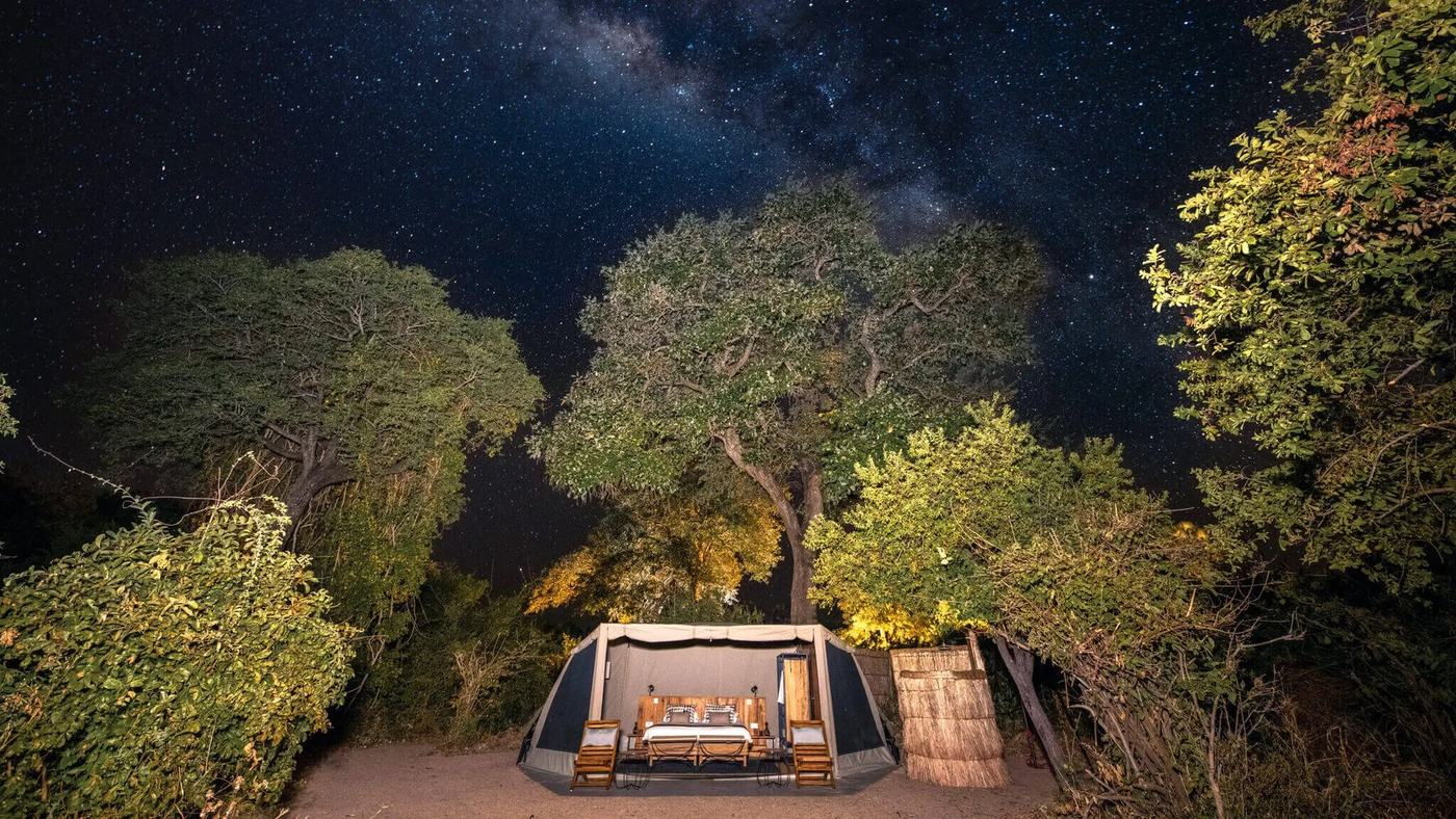 Milky Way glitters above a softly lit tent beneath the trees at Kokoko Camp