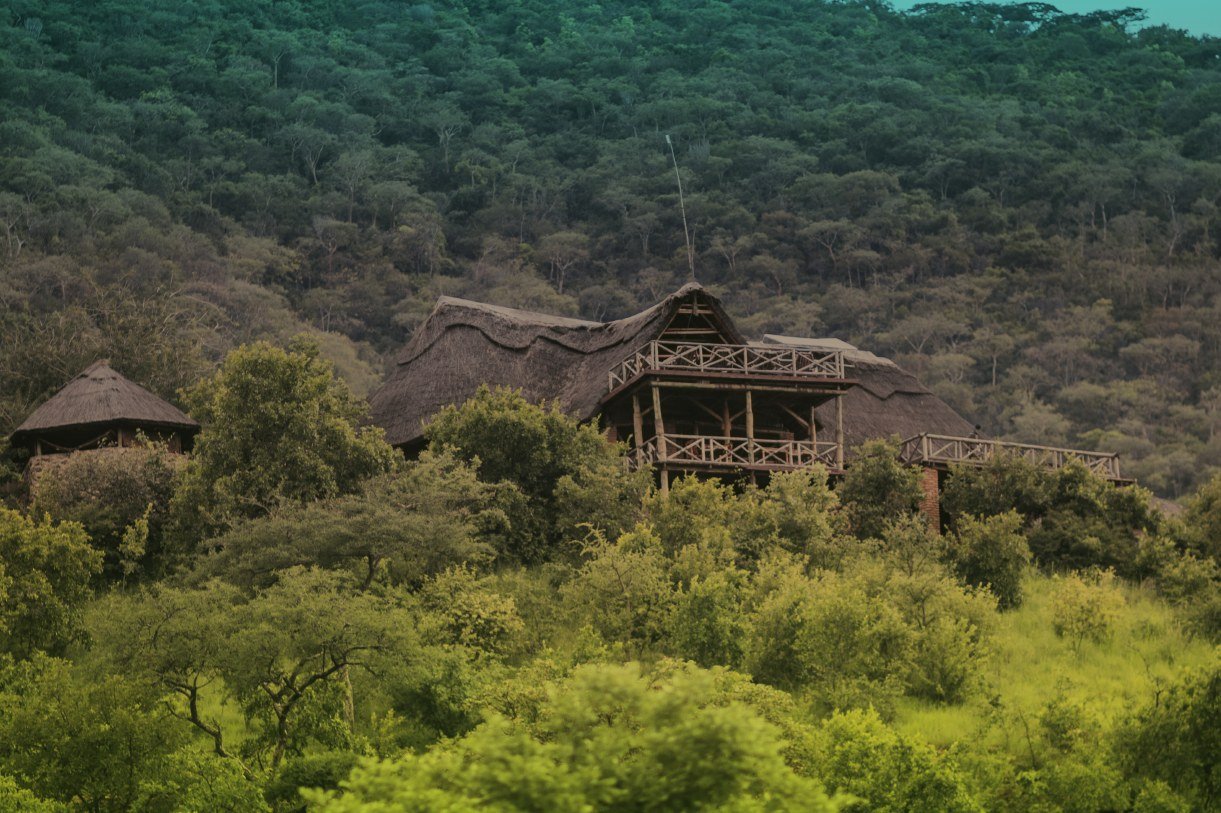Thatched main lodge building rises above the surrounding bushland at Ruaha Hilltop Lodge
