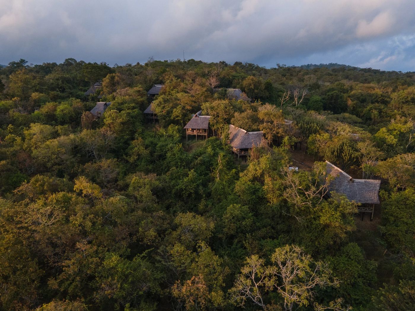 Aerial view of thatched roofs tucked into wooded hillside at Ruaha River Lodge