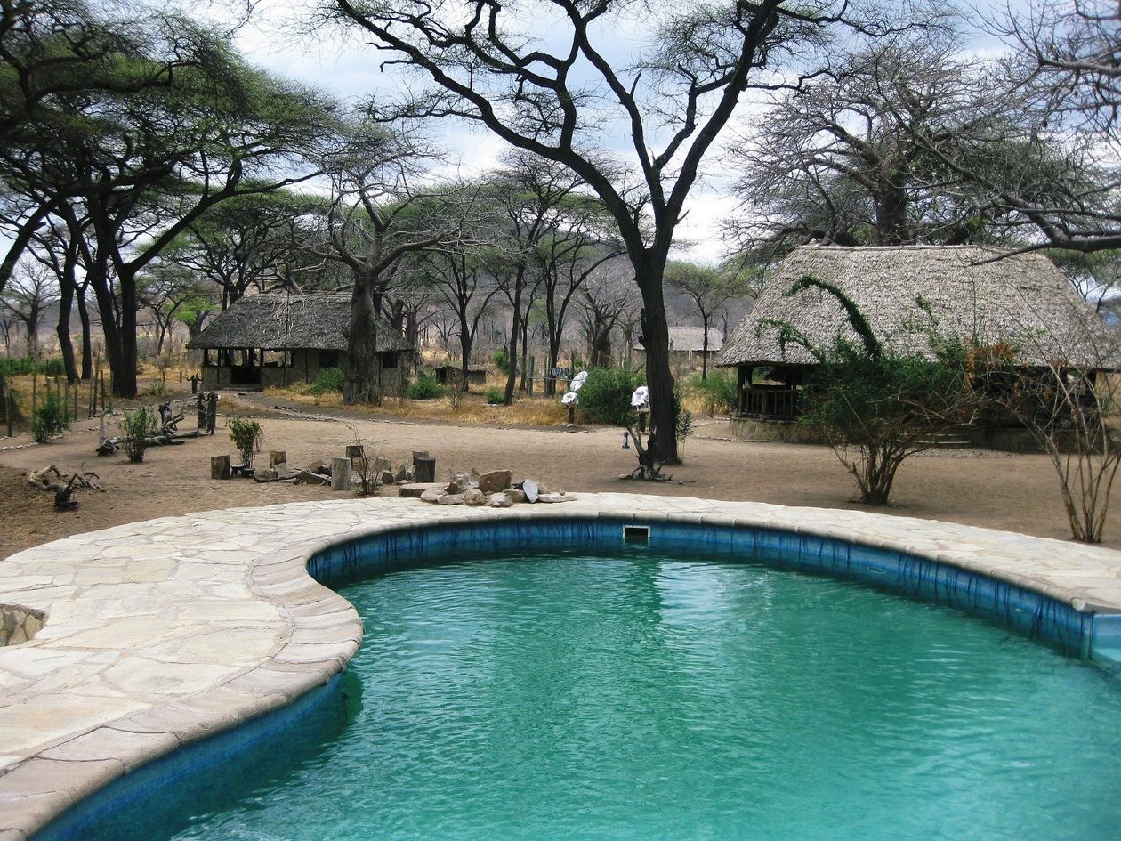 Round pool framed by acacia trees and thatched cottages at Tandala Tented Camp in Ruaha