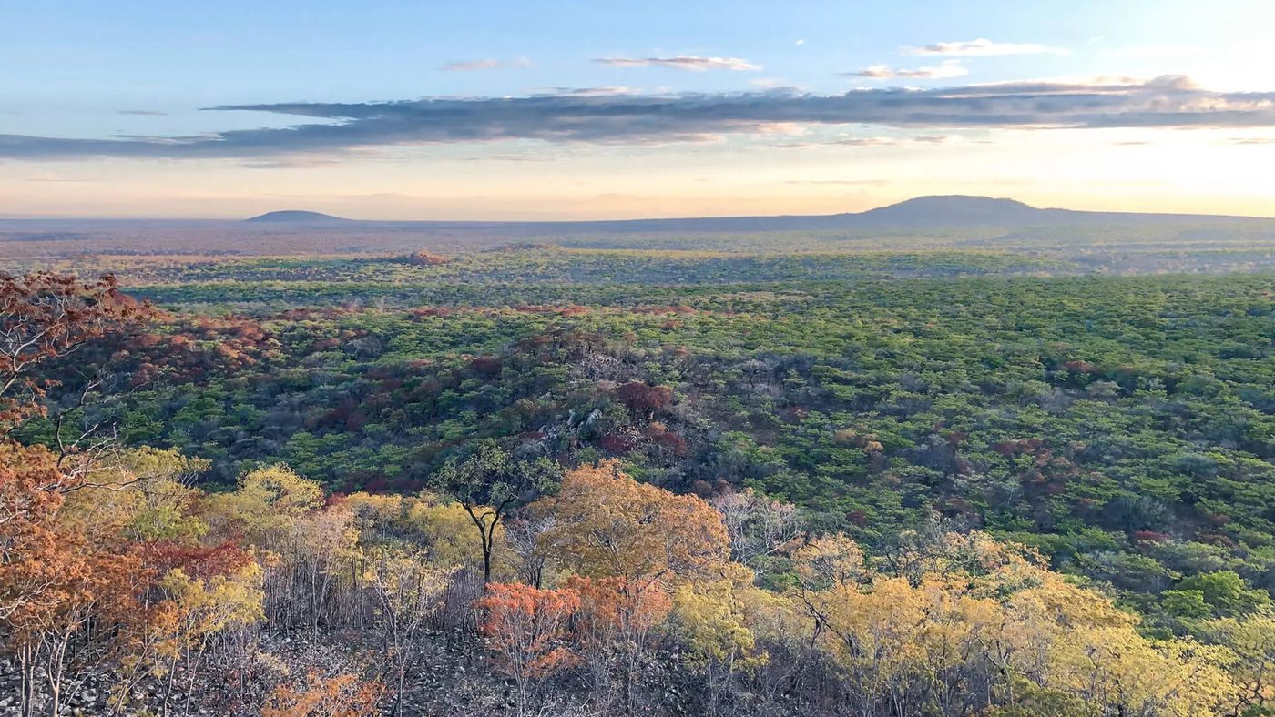 View from a forested ridge over green plains toward distant hills near Usangu Expedition Camp